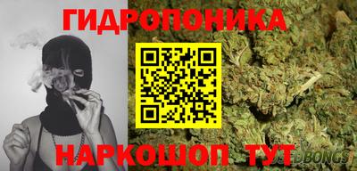 хмурый Бийск