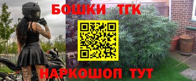 хмурый Бийск