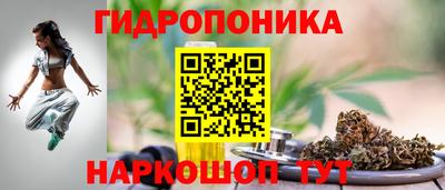 хмурый Бийск