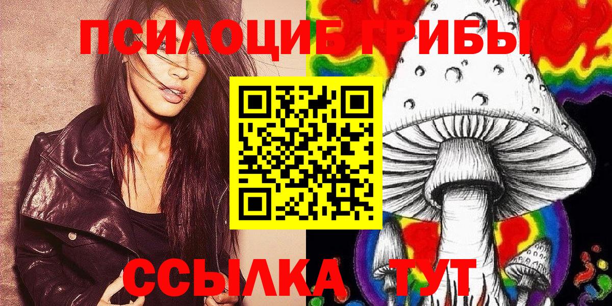 Псилоцибиновые грибы Psilocybine cubensis Вольск