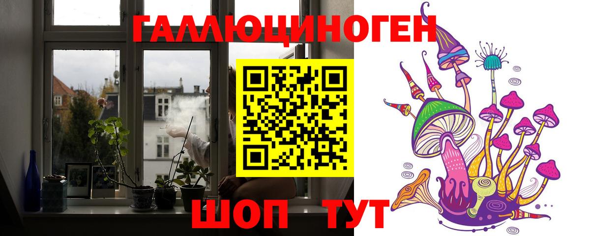 где купить наркотик  Вход с VPN  Вольск  Галлюциногенные грибы Psilocybe 