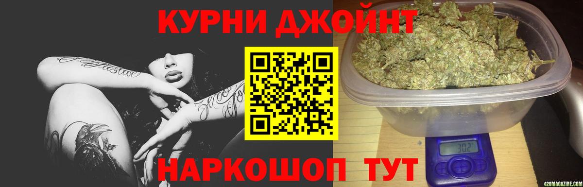 Конопля сатива Вольск